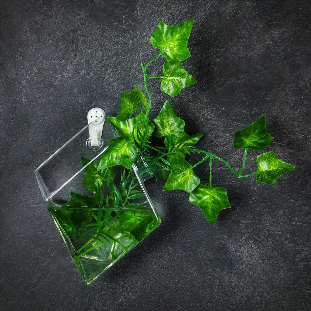 Hanging Diamond Glass Terrarium - Set of 2 | M&W