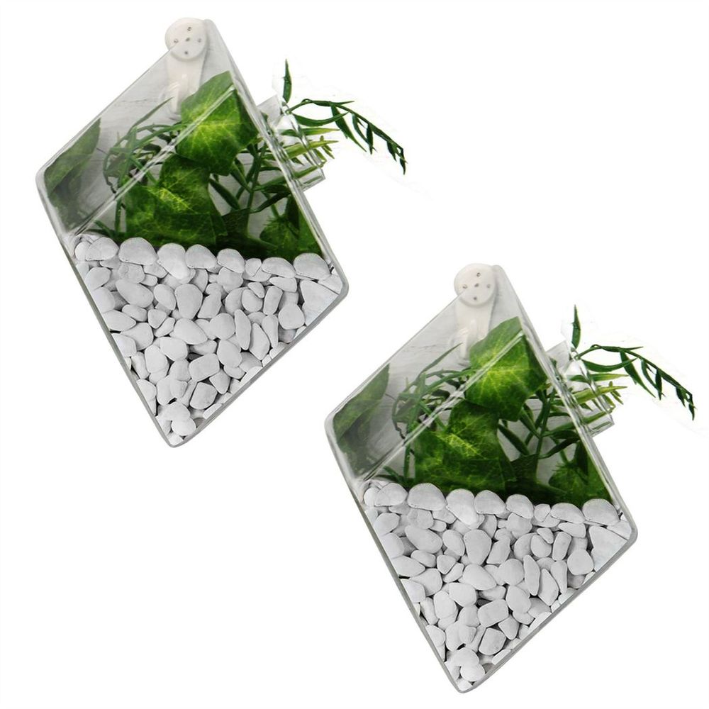 Hanging Diamond Glass Terrarium - Set of 2 | M&W