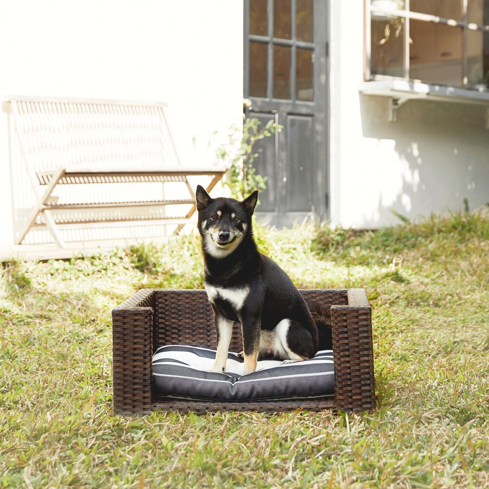 Indoor Outdoor Rattan Cat or Dog Elevated Rattan Bed ST-N10005-UK