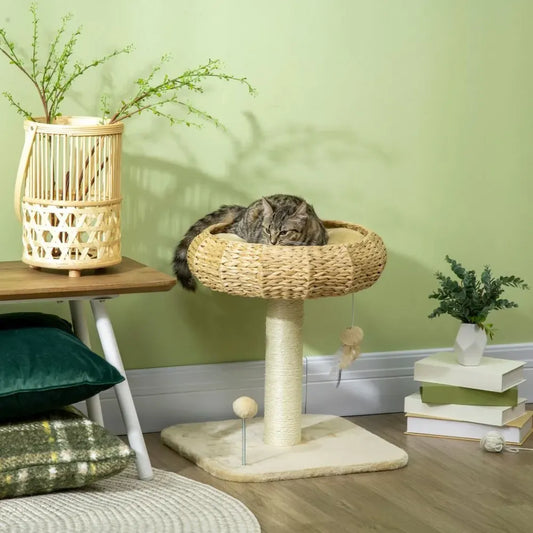 51cm Cat Tree Kitty Activity Centre w/ Top Bed, Toy Ball, Sisal Scratching Post