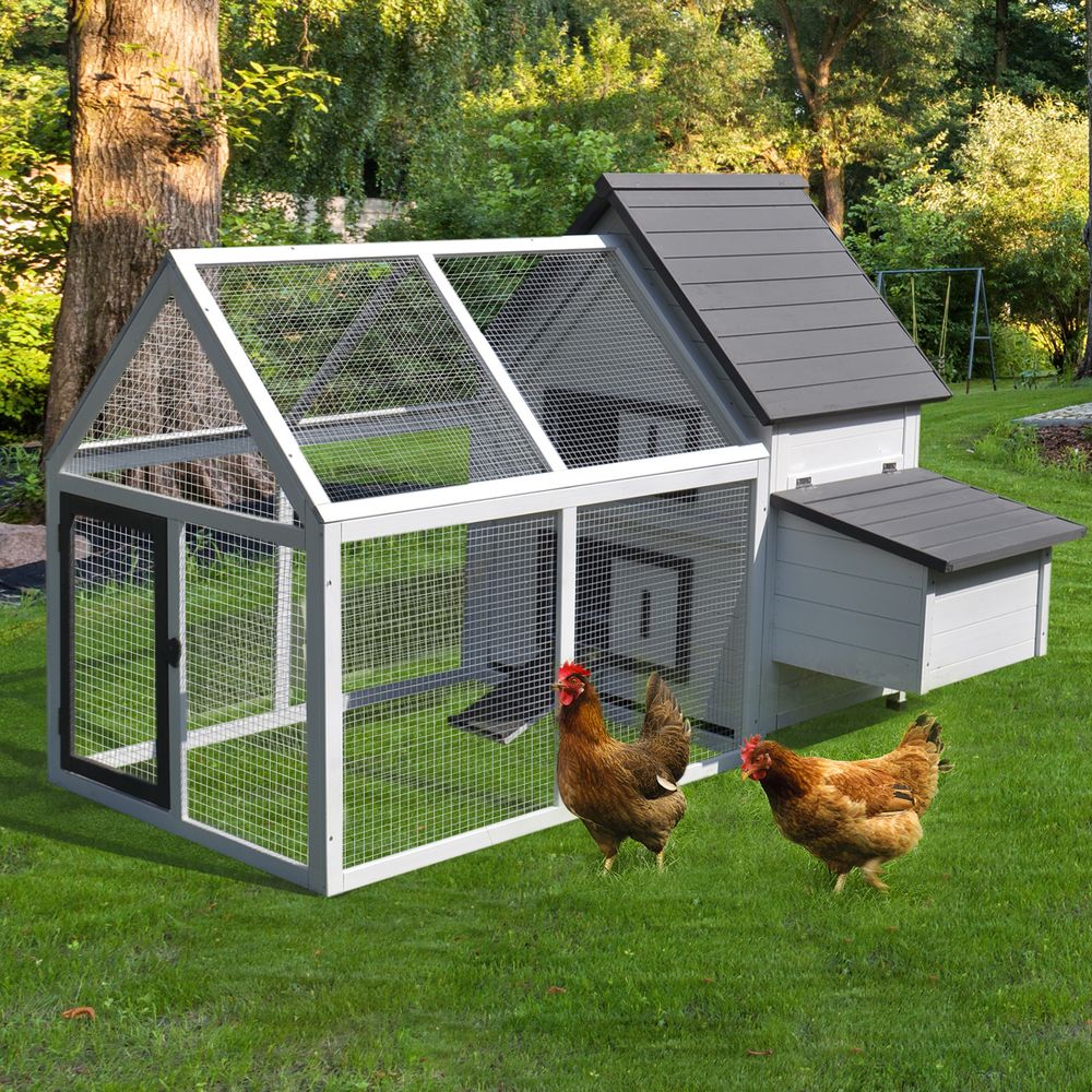 Wooden Chicken Coop Hen House Enclosure with Ramp Run Nesting Box Pawhut