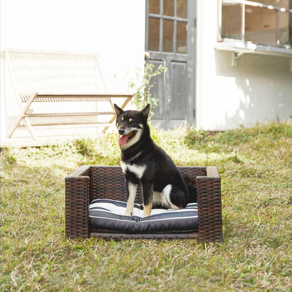 Indoor Outdoor Rattan Cat or Dog Elevated Rattan Bed ST-N10005-UK